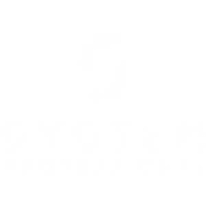 SYSTEM PROFESSIONAL